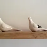 D&c Szálloda *