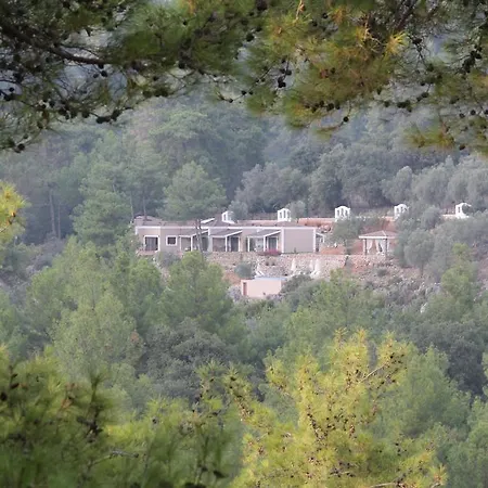 酒店 蒂安西戈西克酒店