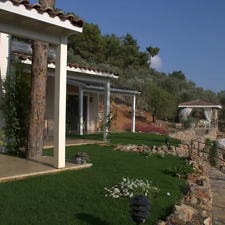 蒂安西戈西克酒店 酒店 戈西克