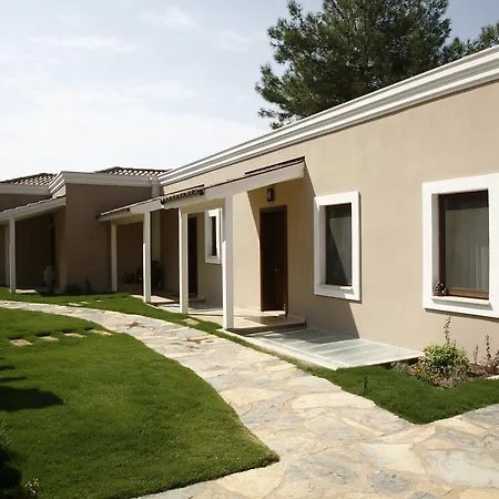 D&c * ギョジェク