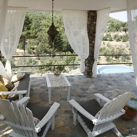 酒店 蒂安西戈西克酒店 *