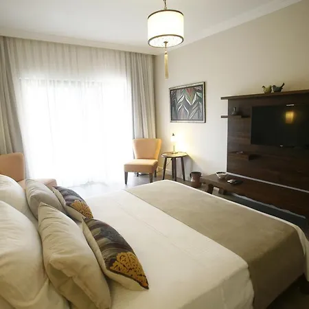 蒂安西戈西克酒店 *