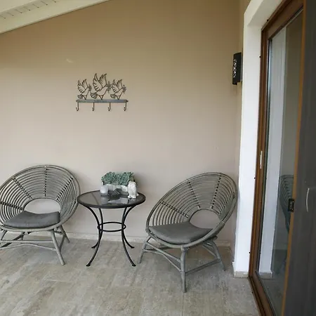 蒂安西戈西克酒店 *