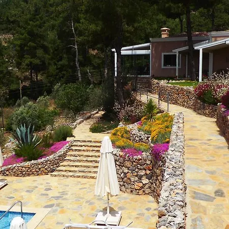 酒店 蒂安西戈西克酒店 *