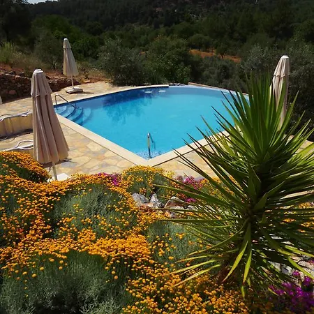 蒂安西戈西克酒店