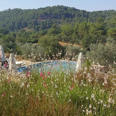 蒂安西戈西克酒店 *